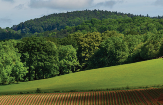 Country landscape